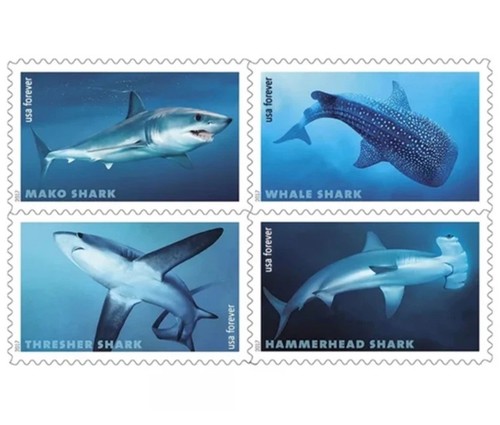 2017 mint sharks - us, pane
